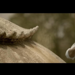 Babri Masjid demolishes Further After Actors Take Multiple Re-Takes During Thakrey's Shoot