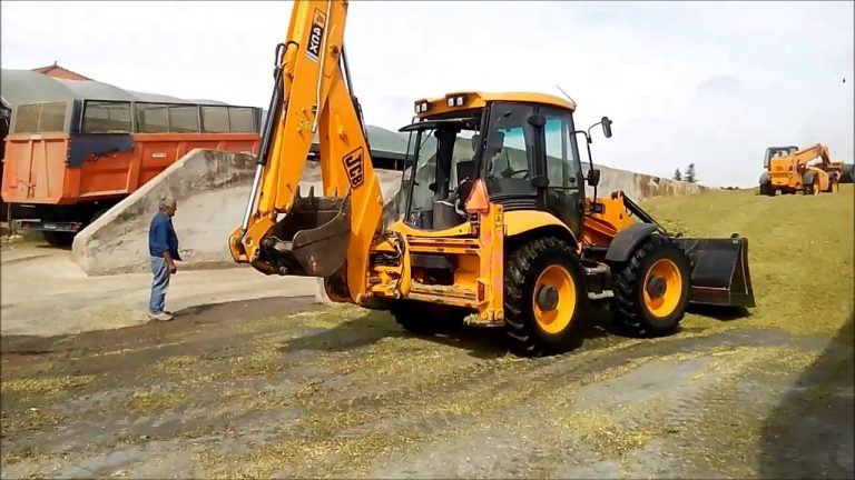 Man Quits Job To Pursue Hobby Of Watching JCB Dig Roads