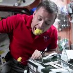 Zomato plans to deliver food to moon by 2022, delivery boys seen practicing eating in zero gravity