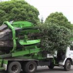UN asks Pakistan to remove big trees after latter complains India planning bigger attack than Balakot