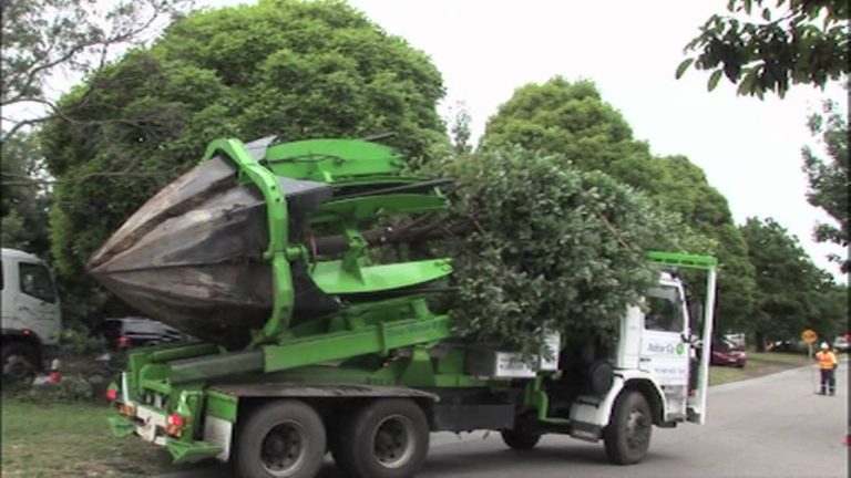 UN asks Pakistan to remove big trees after latter complains India planning bigger attack than Balakot