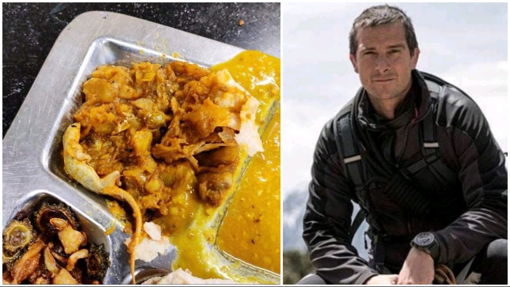 Bear Grylls to give IIT Entrance exam after a Pic of IIT KGP mess food with a lizard in it goes viral