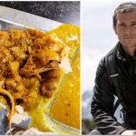 Bear Grylls to give IIT Entrance exam after a Pic of IIT KGP mess food with a lizard in it goes viral