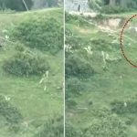 Looking at frequent surrenders by Pak Army, UN asks Pakistan to keep Plain white flag as its national flag