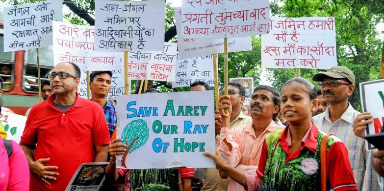 Mumbai Paper Company cuts 100 trees to meet demands of paper for Aarey forest protest placards