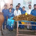 Man died after eating beef with 60% plastic in it