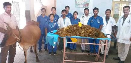 Man died after eating beef with 60% plastic in it