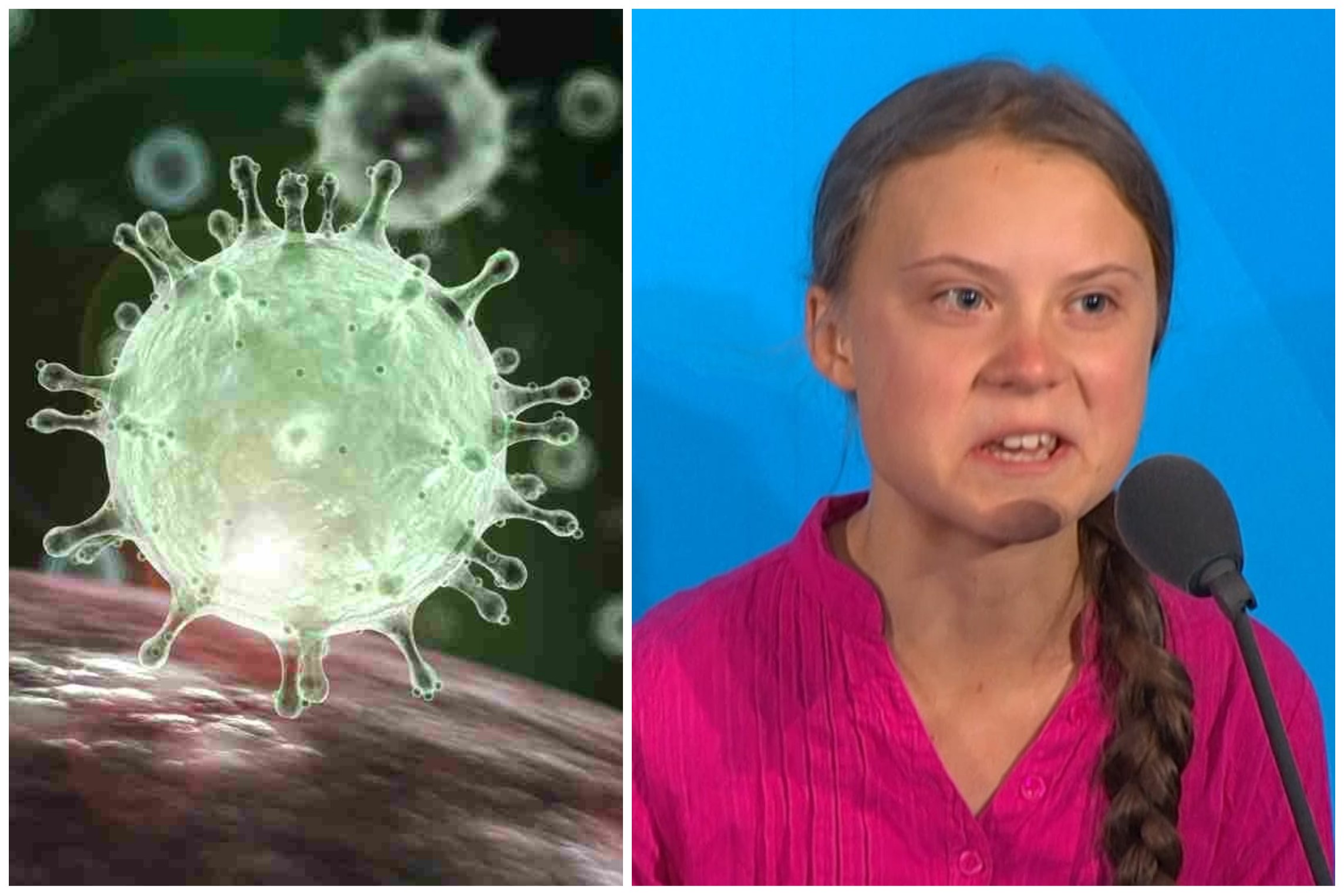 Doctors across the world witness loss of jobs after Greta Thunberg yells “How Dare You?” To Corona Virus