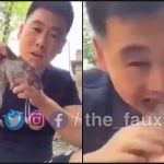 India man hires Chinese man as maid after finding too many rats in his house