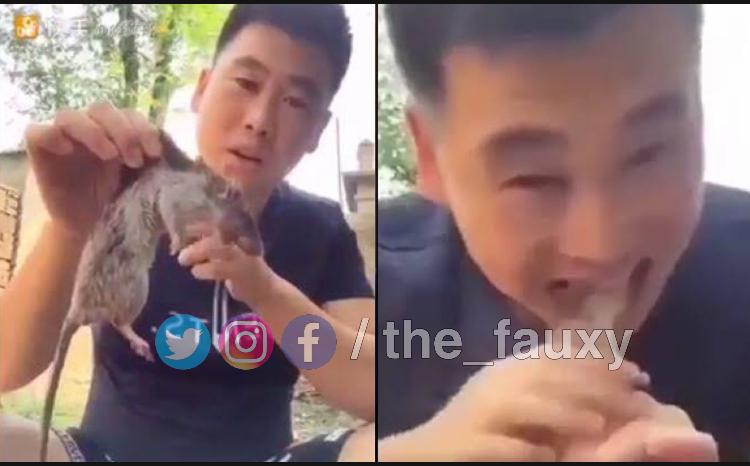 India man hires Chinese man as maid after finding too many rats in his house