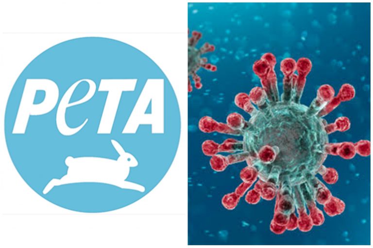 Peta opposes coronavirus vaccine development; says vaccine will kill the virus