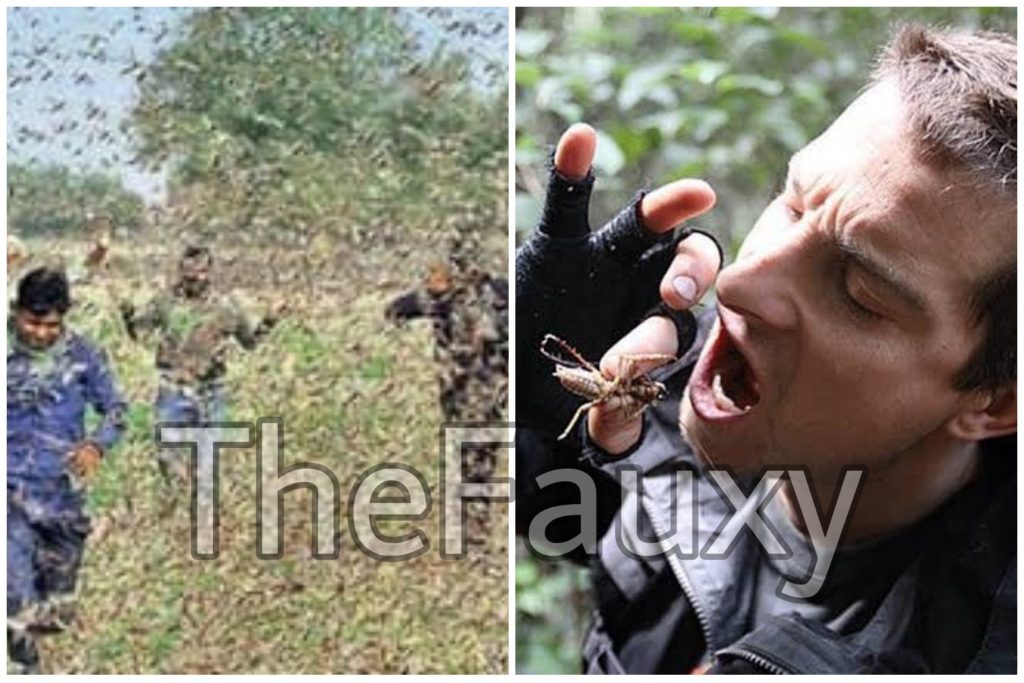 Bear Grylls applies for Indian citizenship amid Locust attack
