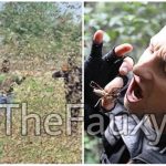 Bear Grylls applies for Indian citizenship amid Locust attack