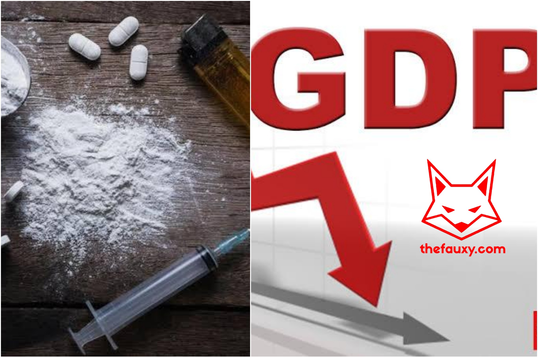Removing Drug Cartel and Bollywood Drug Mafias Will Further Reduce India’s GDP: Economists
