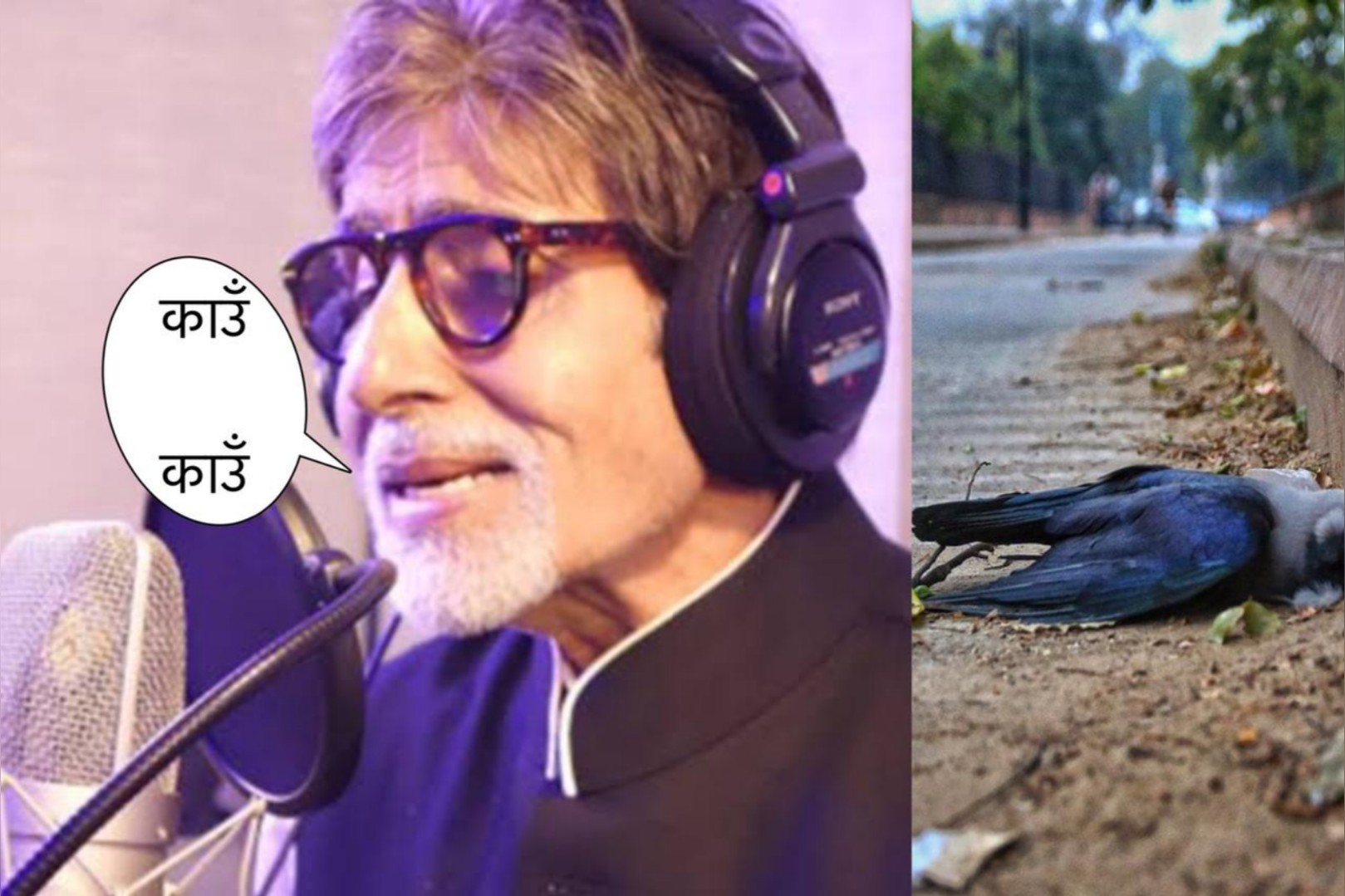 Amitabh Bachchan Seen Mimicking Bird’s Chirping Sound to Record Caller Tune For Bird Flu