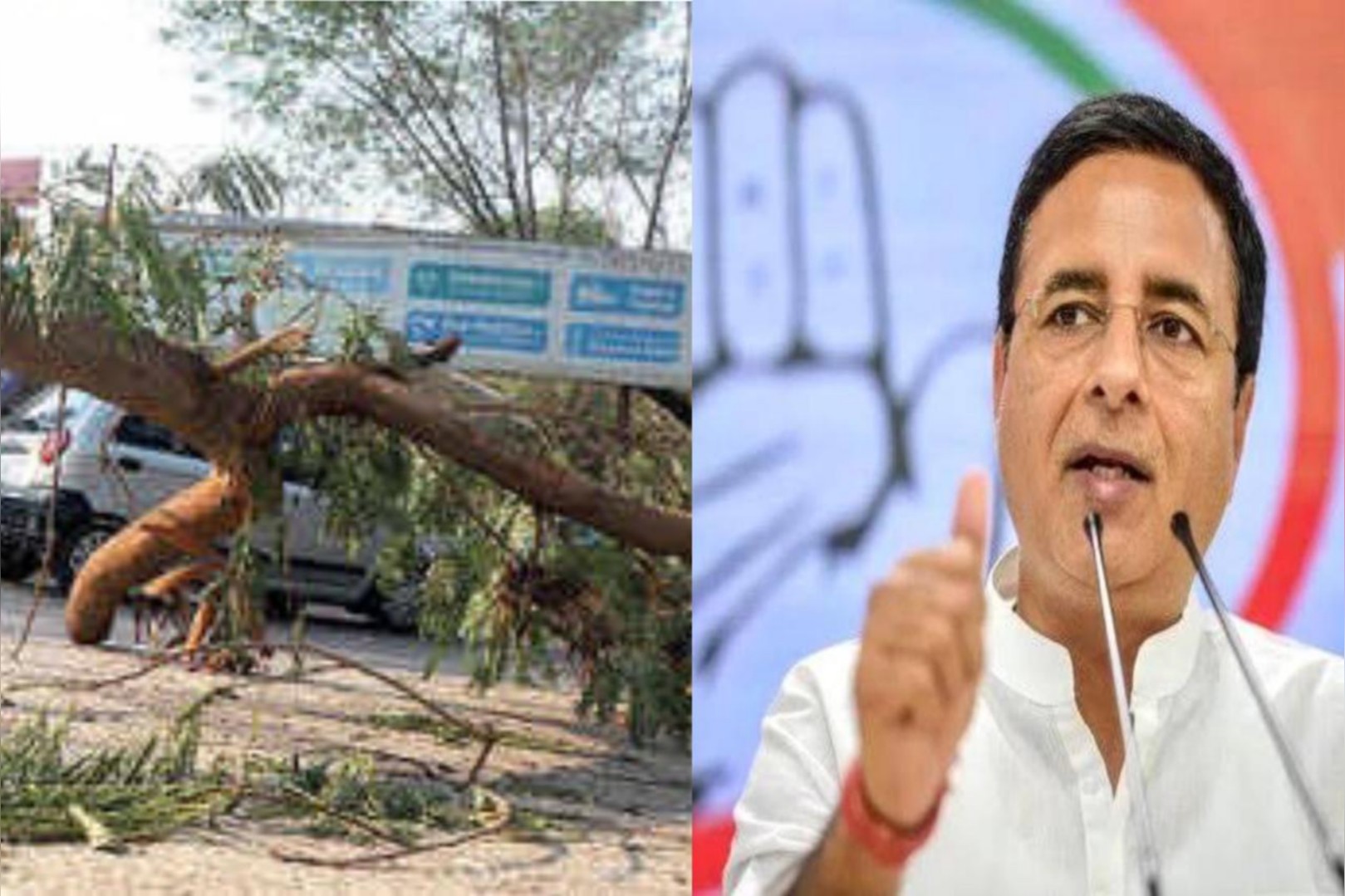 Congress Extends Support To A Big Tree Which Fell And Blocked The Highway