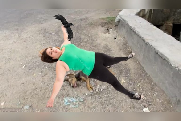 PETA Activist Fell On A Dog While Trying To Save A Bird From Kite String; Dog Dies