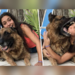 Passionate Dog Lover Forces Her Dog To Give A Love Bite, Dies Of Rabies
