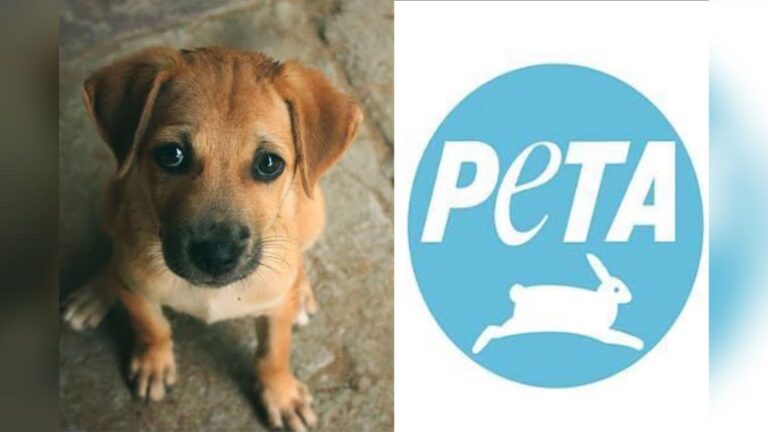PETA India To React On Dogs Being Raped After Investigating Whether It Was Consensual