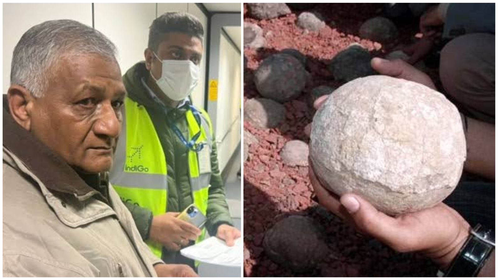 Indian Govt Allows A Student To Carry Dinosaur Egg From Ukraine