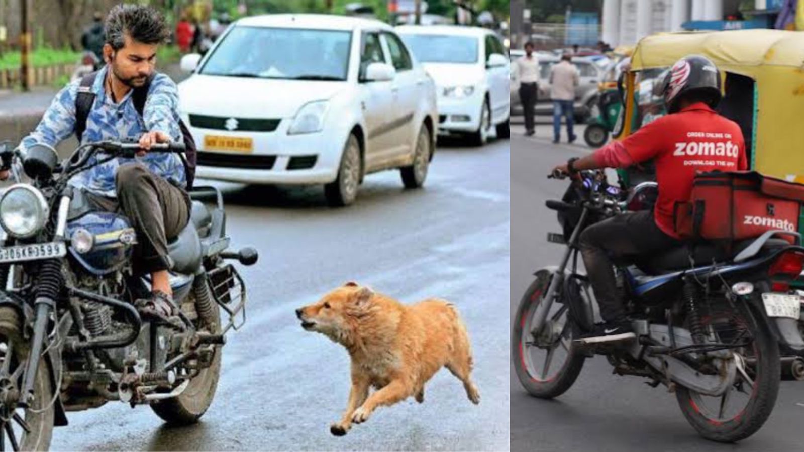 Zomato to Make Street Dogs Run After Delivery Boys for its 10 Minute Food Delivery