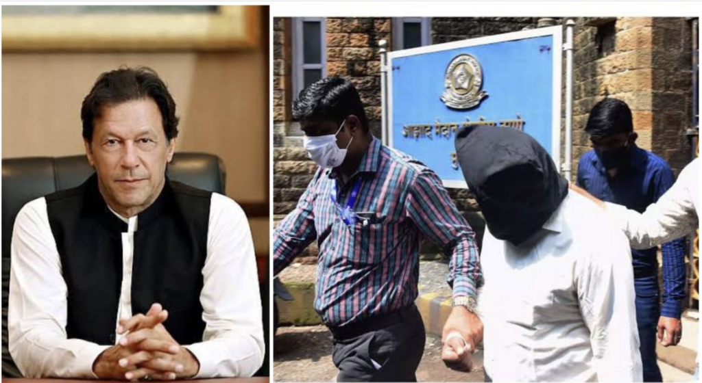 Imran Khan Mumbai Indian Fan