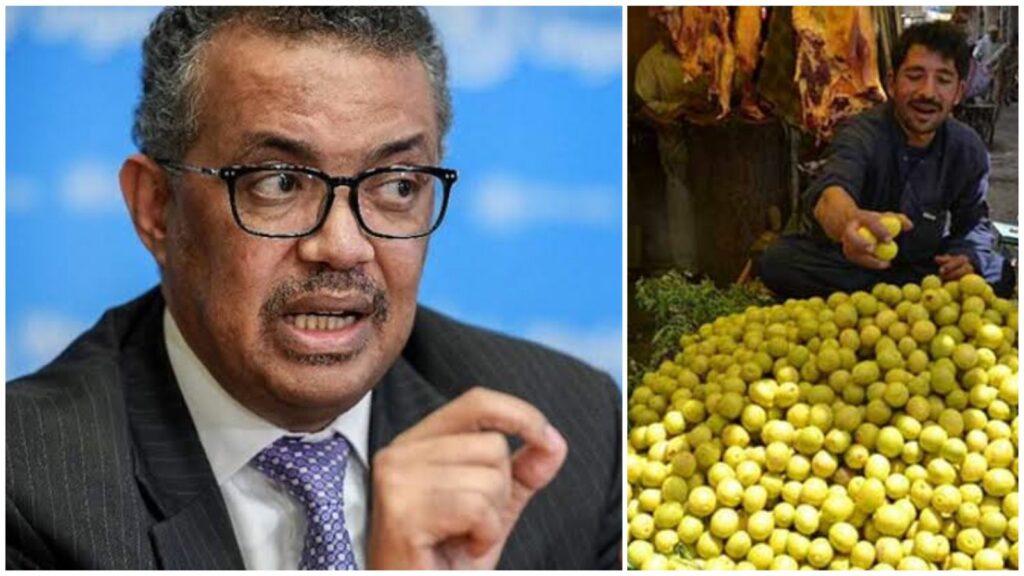 WHO Lemon Price India